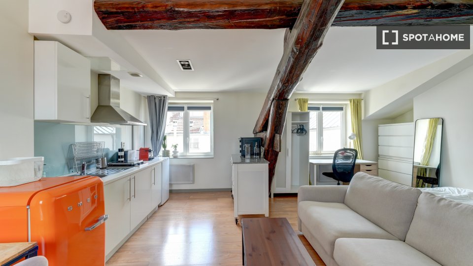 Appartamento Lione, 1 camera, 37m² — foto 2