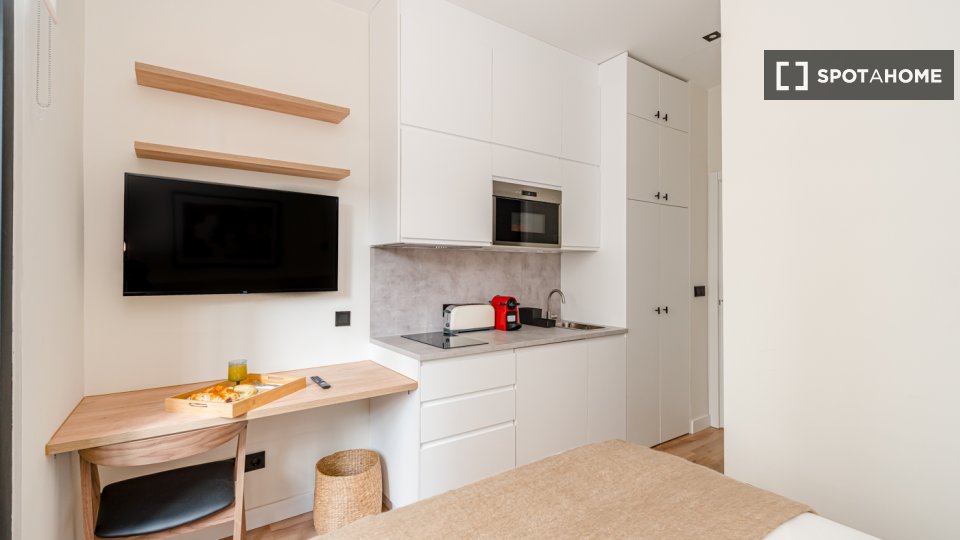 Apartment mono Madrid, 17m² — photo 11