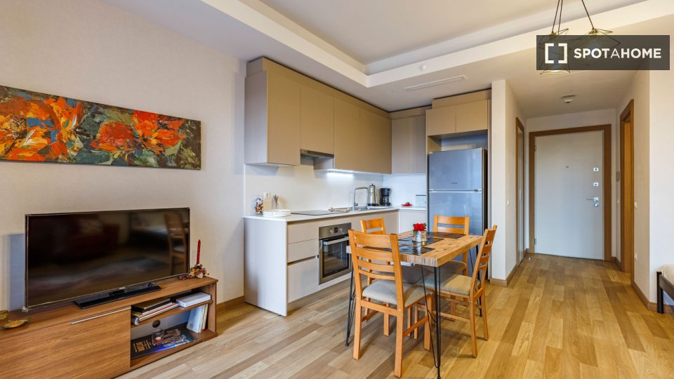 Apartment Istanbul, 1 bed — photo 10