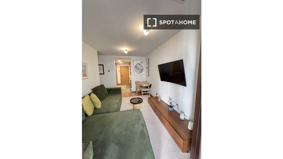 Apartment Madrid, 1 bed — photo 17