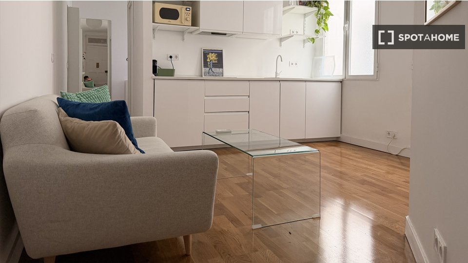 Apartment mono Madrid, 35m² — photo 7