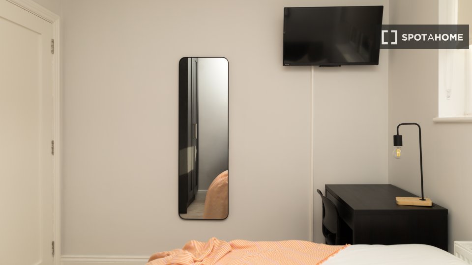 Double room Dublin, 5 beds — photo 19