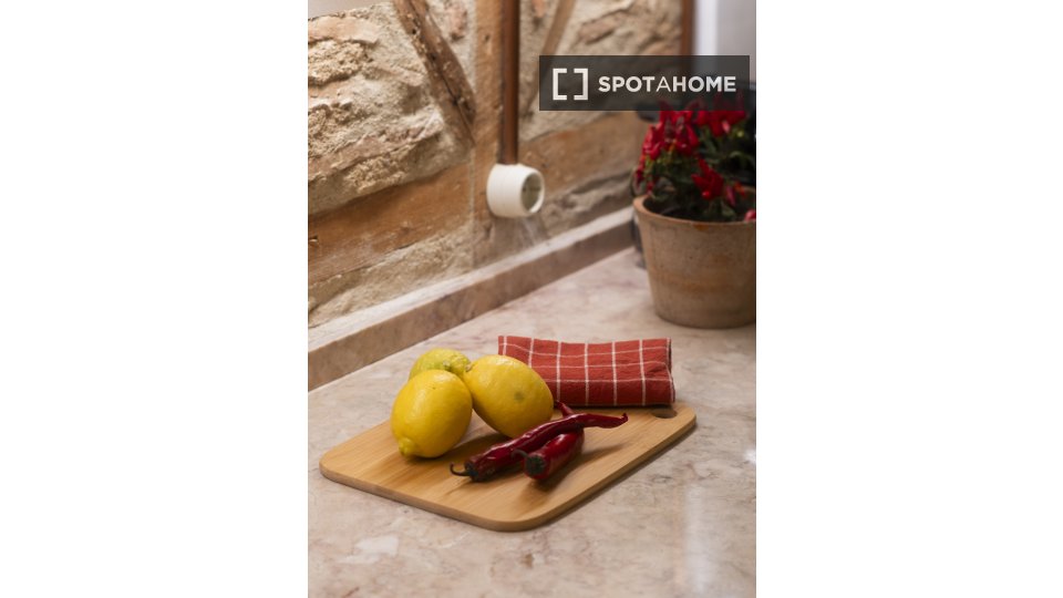 Apartment mono Lisbon, 45m² — photo 3