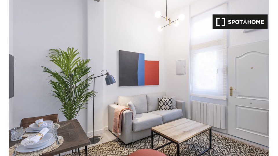 Apartment Madrid, 1 bed — photo 2