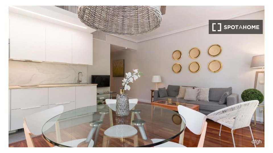 Apartment Madrid, 1 bed — photo 16