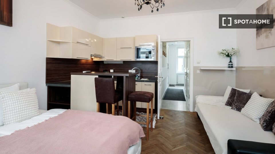 Apartment mono Vienna, 31m² — photo 4