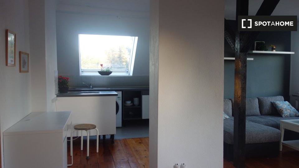 Apartment mono Berlin, 45m² — photo 14