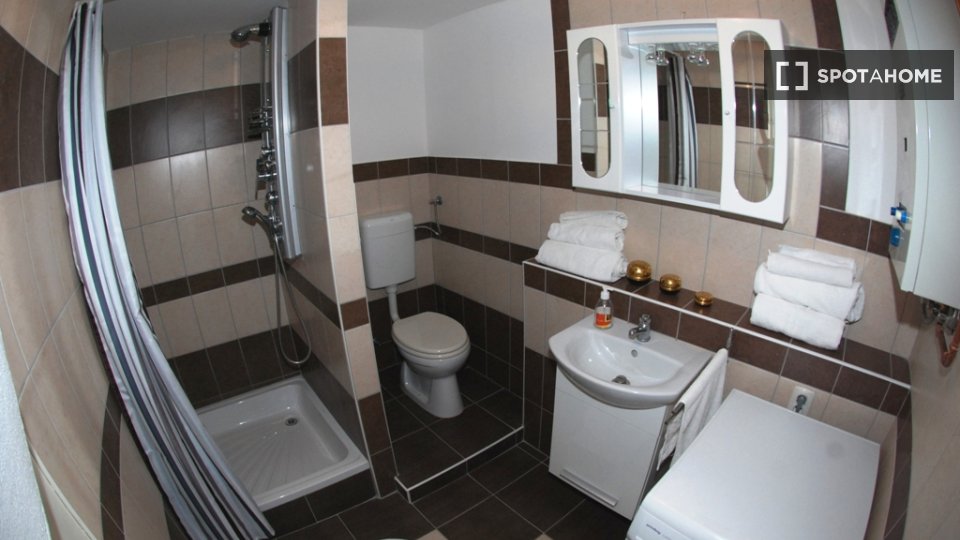 Apartment mono Budapest, 47m² — photo 6