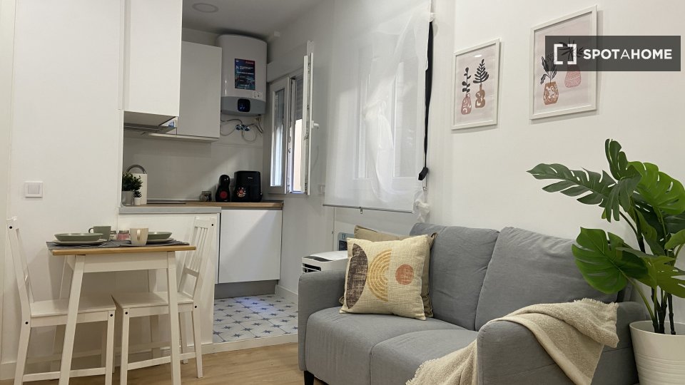 Apartment mono Madrid, 28m² — photo 6