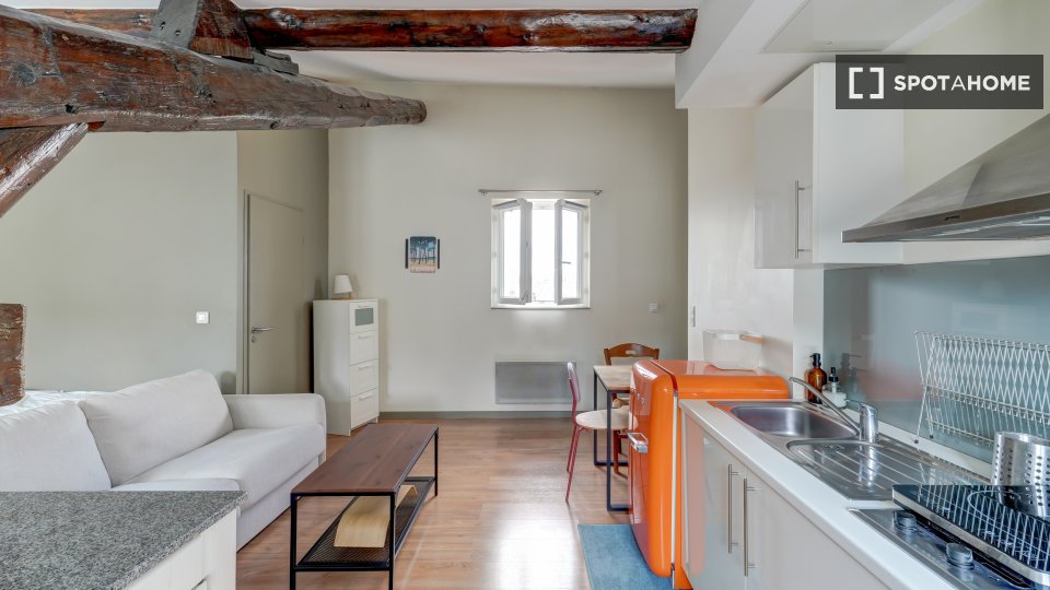 Appartamento Lione, 1 camera, 37m² — foto 12