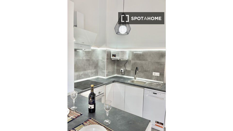 Apartment mono Madrid, 48m² — photo 12