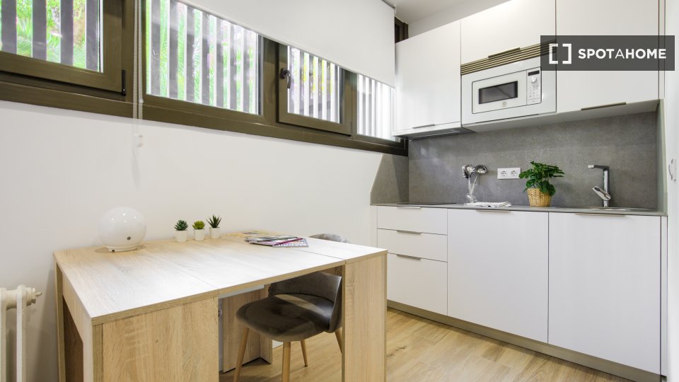Apartment mono Madrid — photo 4