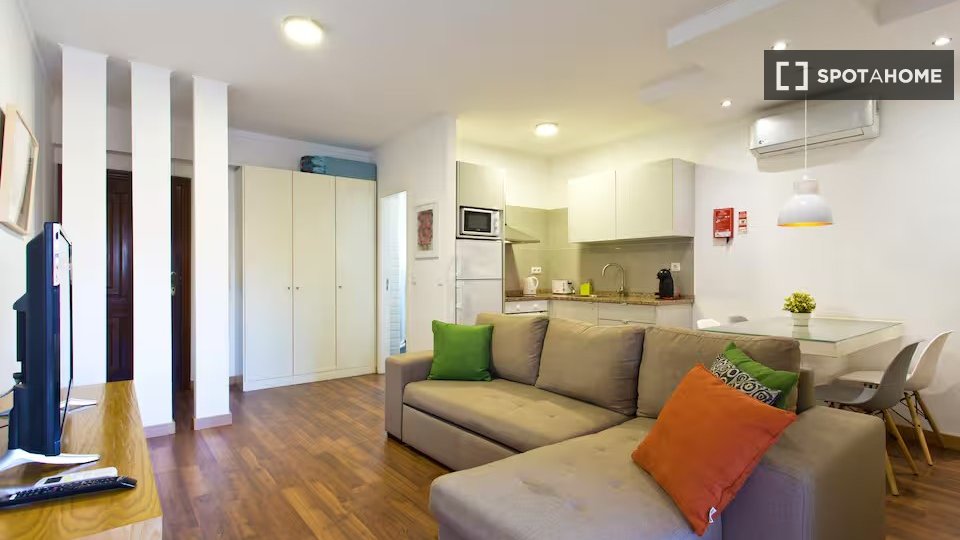 Apartment Porto, 1 bed — photo 4