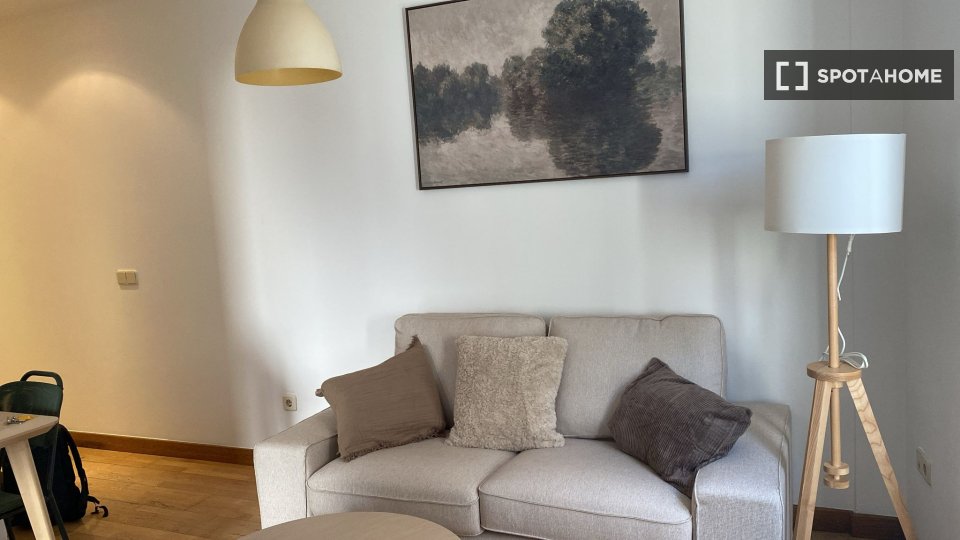 Apartment mono Madrid, 60m² — photo 3