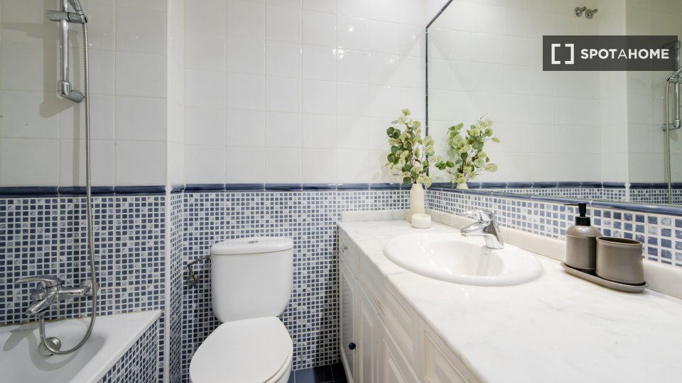 Double room Madrid, 11 beds, 250m² — photo 2