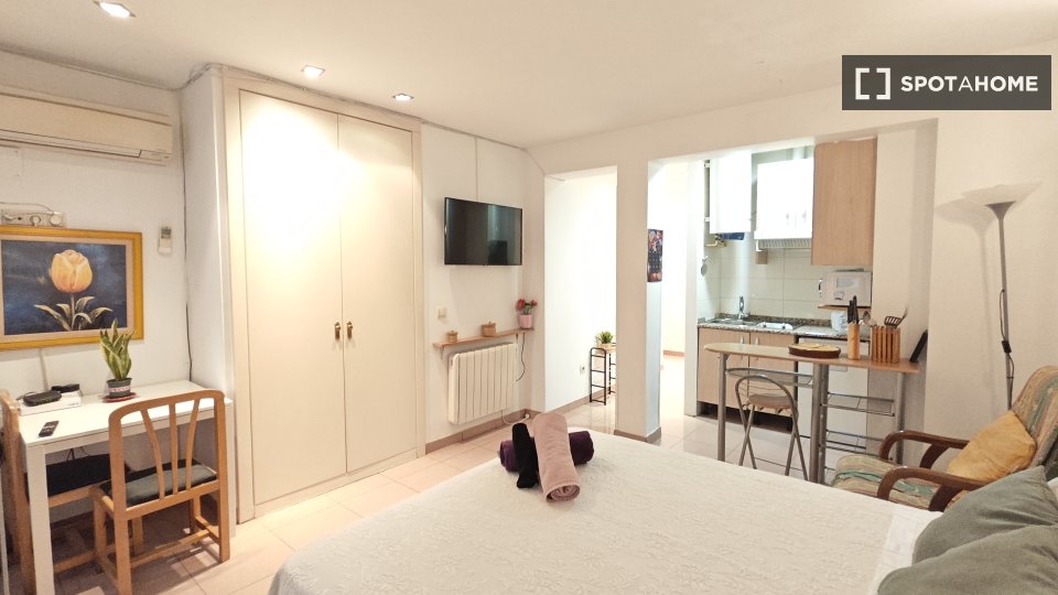 Apartment mono Madrid, 25m² — photo 24