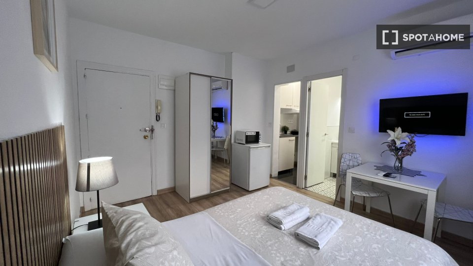 Apartment mono Madrid, 25m² — photo 30