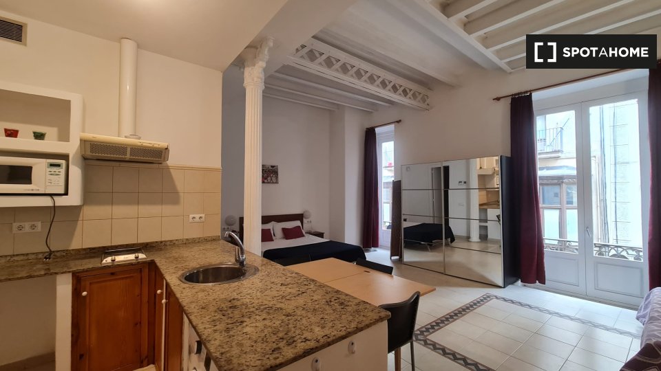 Apartment mono Barcelone — photo 8