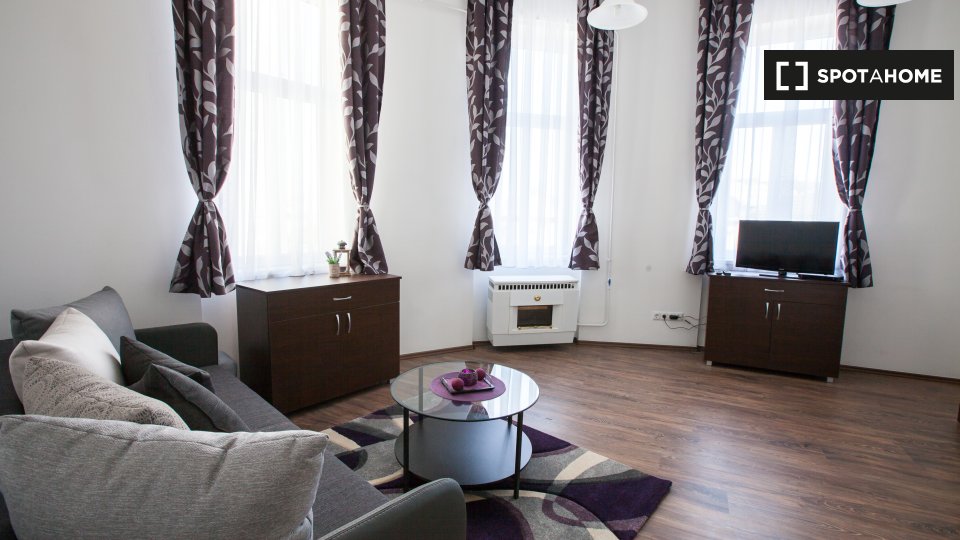 1bedroom apartment for rent in Budapest, Budapest (ref 715854