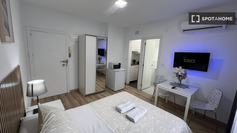 Apartment mono Madrid, 25m² — photo 14