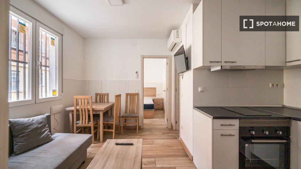 Apartment Madrid, 2 beds, 40m² — photo 3