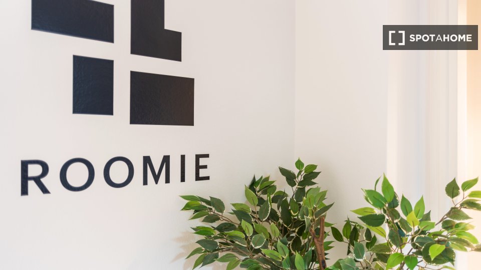 Double room Milan, 2 beds, 76m² — photo 5