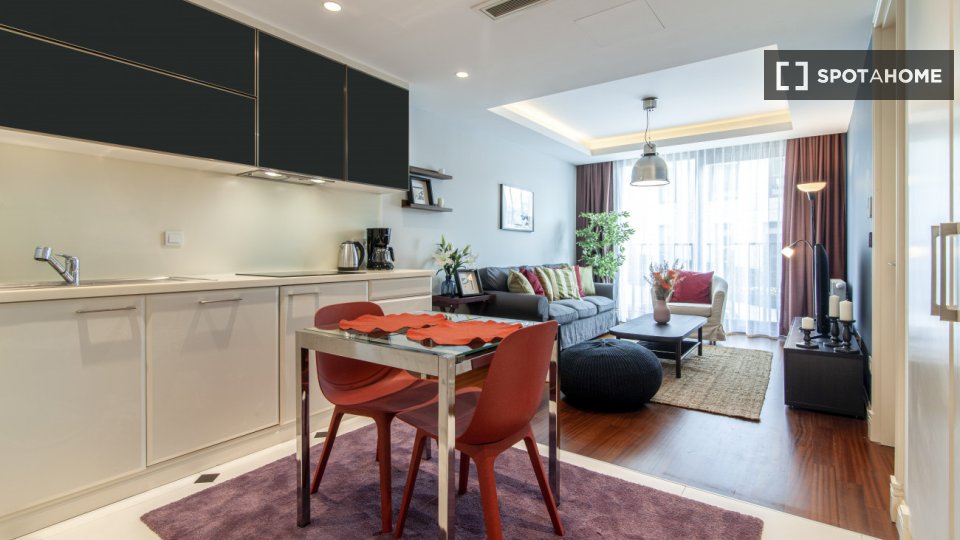 Apartment Istanbul, 1 bed — photo 12
