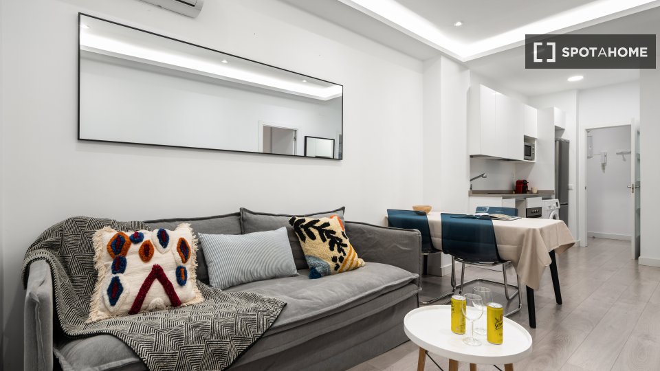Apartment mono Madrid, 55m² — photo 3