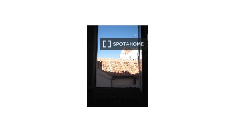 Double room Madrid, 3 beds, 100m² — photo 12
