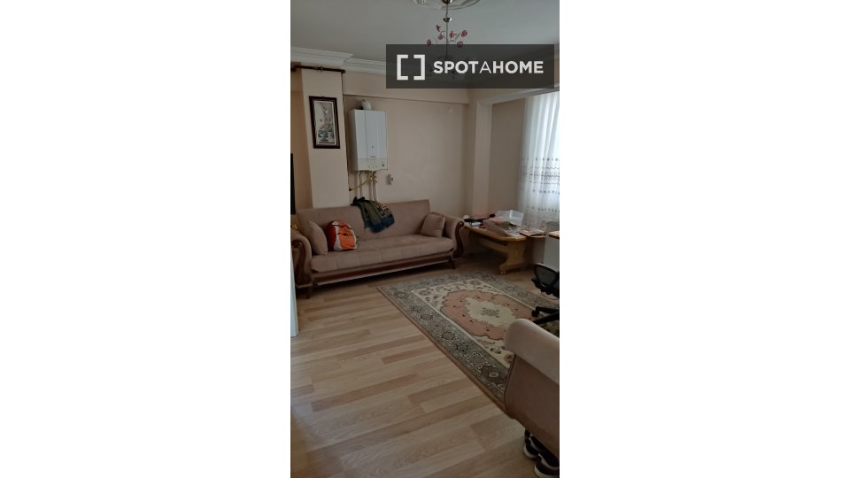 Double room Istanbul, 2 beds — photo 3