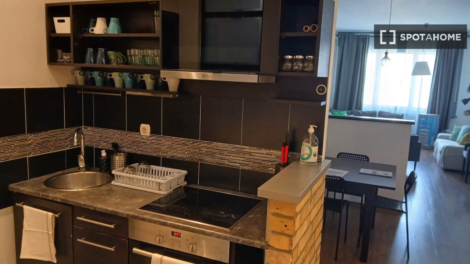 Apartment Budapest, 4 beds — photo 8