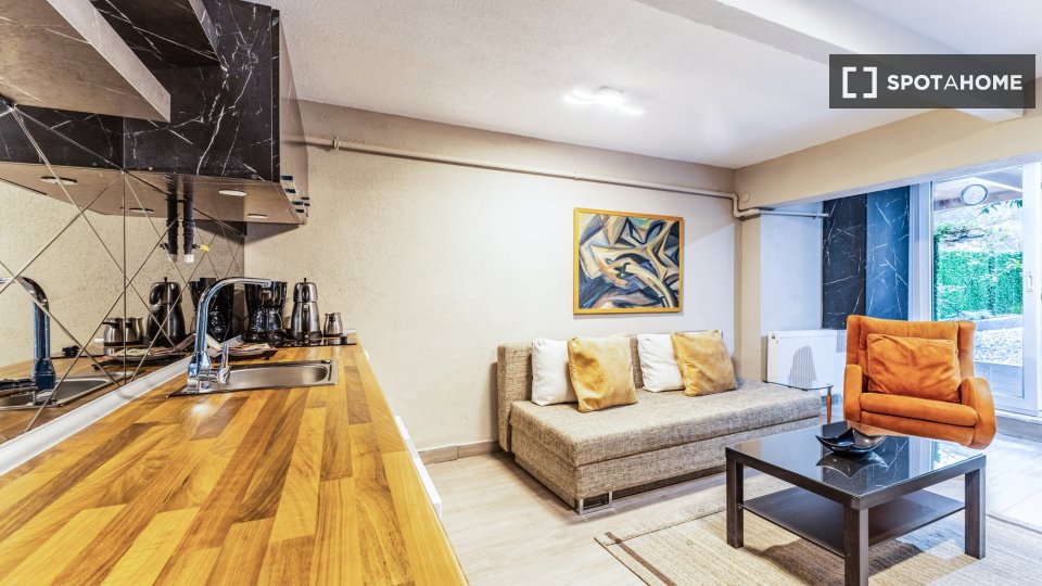 Apartment Istanbul, 1 bed — photo 8
