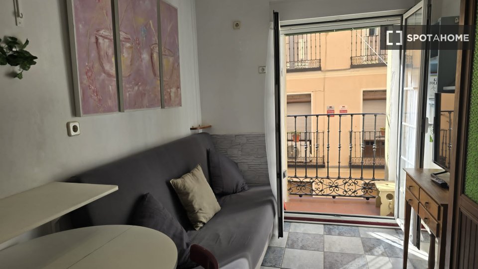 Apartment mono Madrid — photo 8