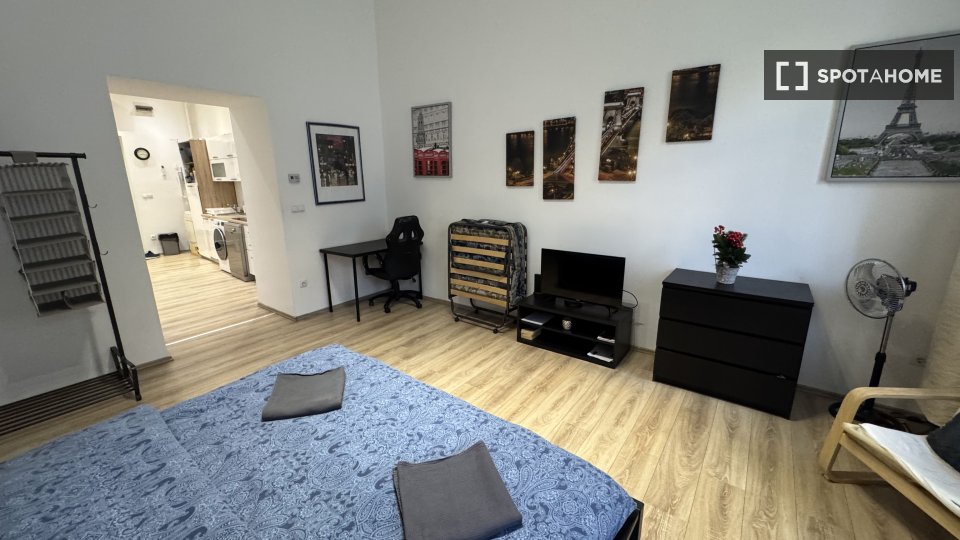 Apartment mono Budapest, 40m² — photo 1
