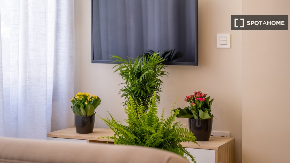 Apartment mono Malaga, 46m² — photo 13