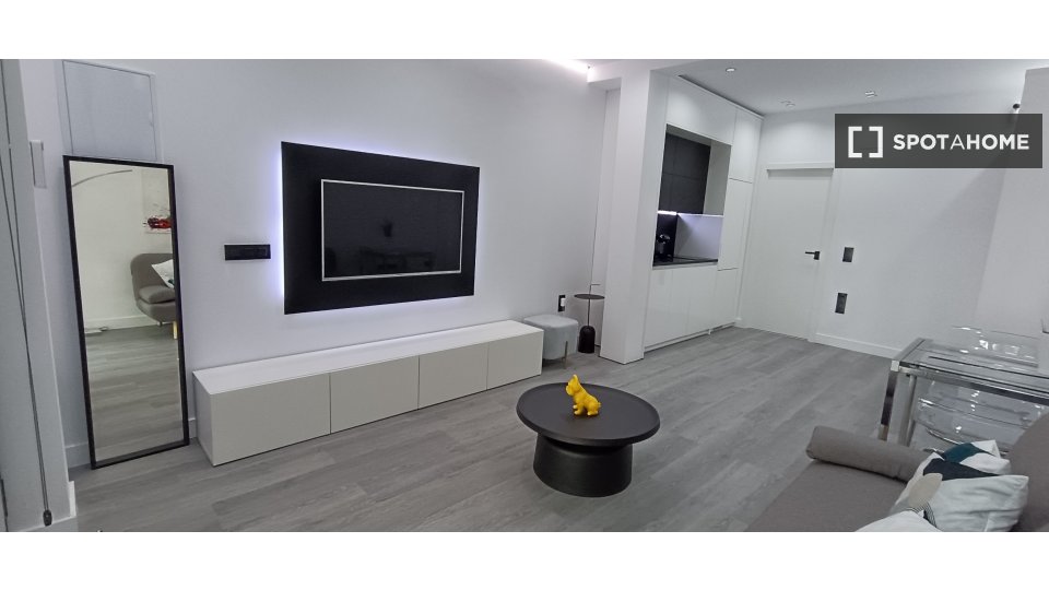 Apartment mono Madrid — photo 26