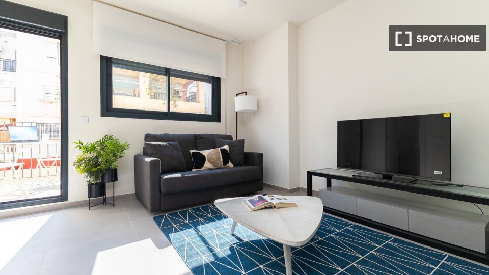 Apartment Valencia, 1 bed — photo 23