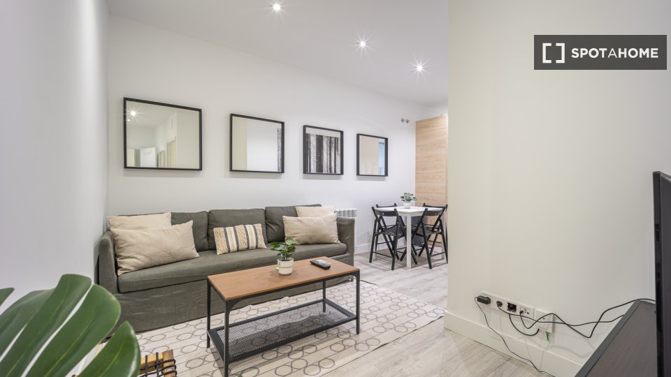 Double room Madrid, 2 beds, 60m² — photo 10