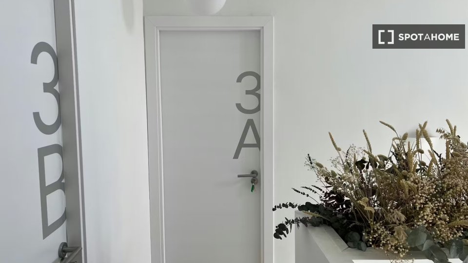 Apartment mono Madrid, 20m² — photo 19
