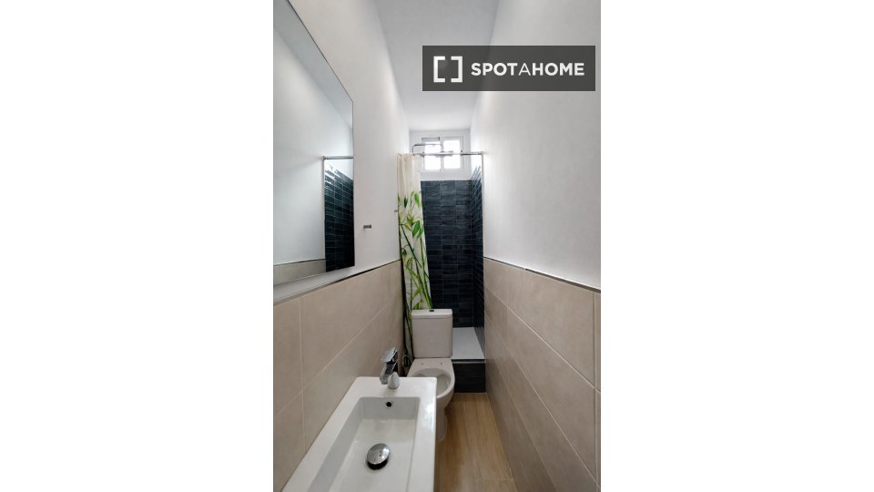 Double room Malaga, 4 beds, 250m² — photo 14