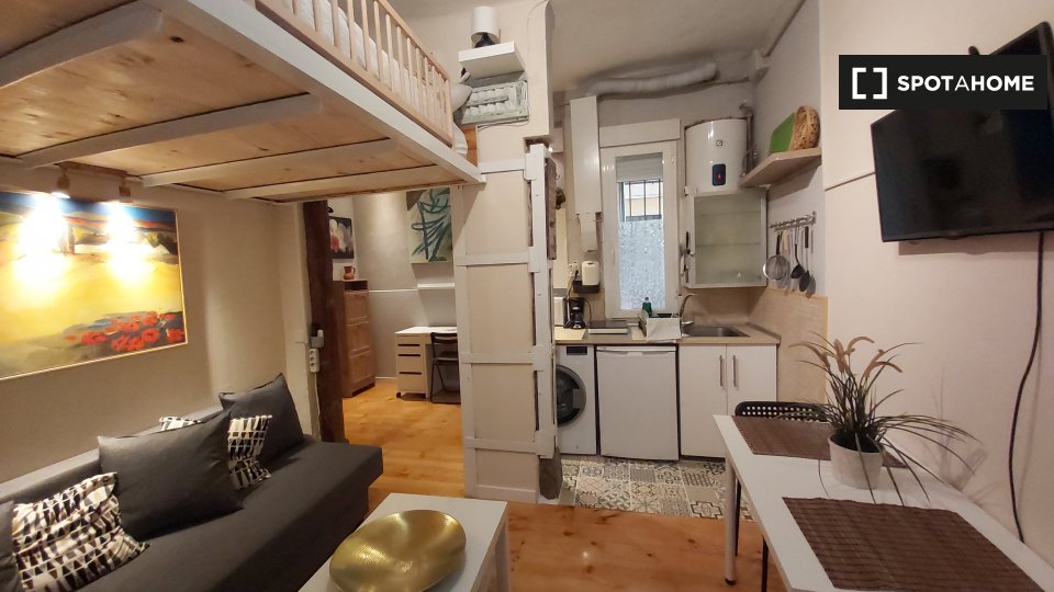 Apartment mono Madrid, 30m² — photo 16