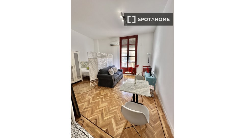 Apartment mono Madrid, 35m² — photo 41