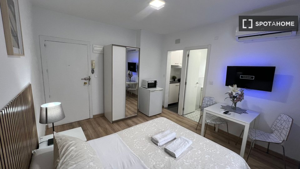 Apartment mono Madrid, 25m² — photo 36