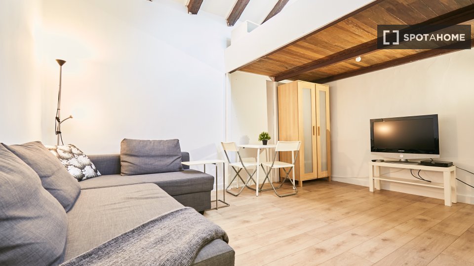 Apartment Madrid, 1 bed — photo 16
