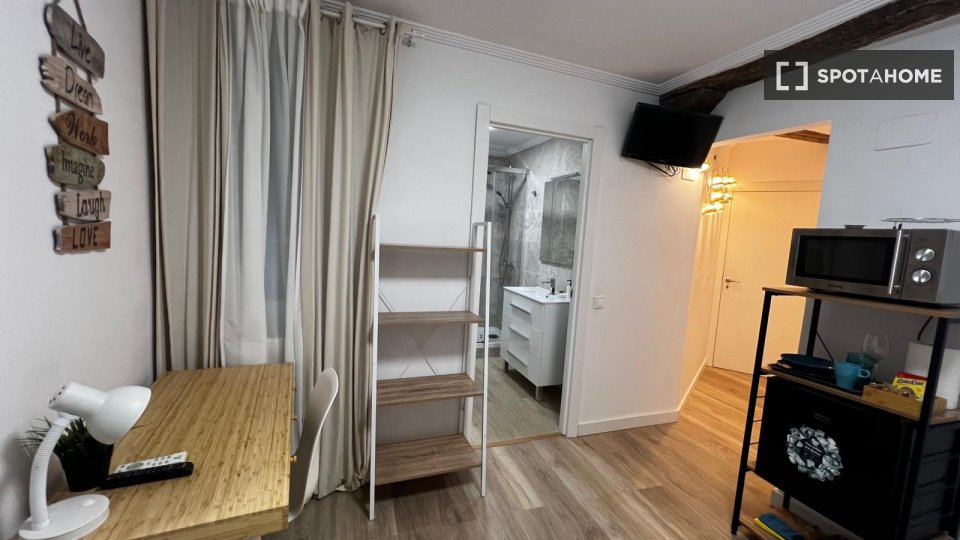 Apartment mono Bilbao, 25m² — photo 12