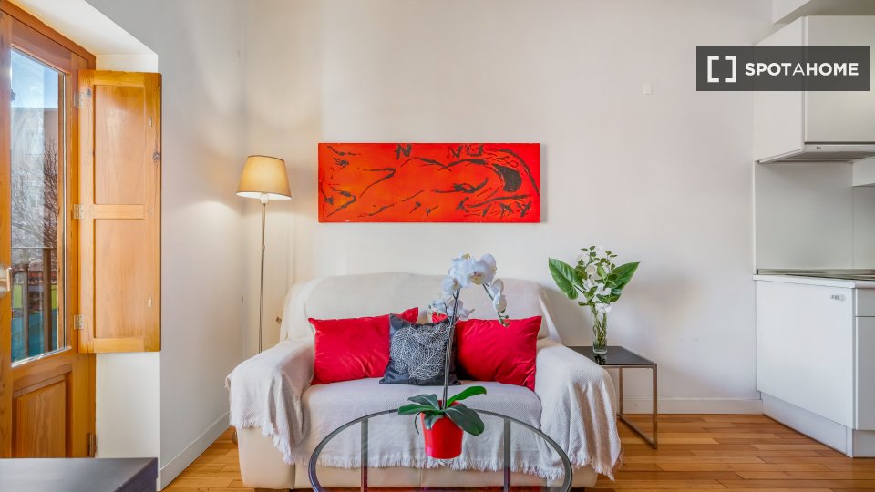Apartment Madrid, 1 bed — photo 19