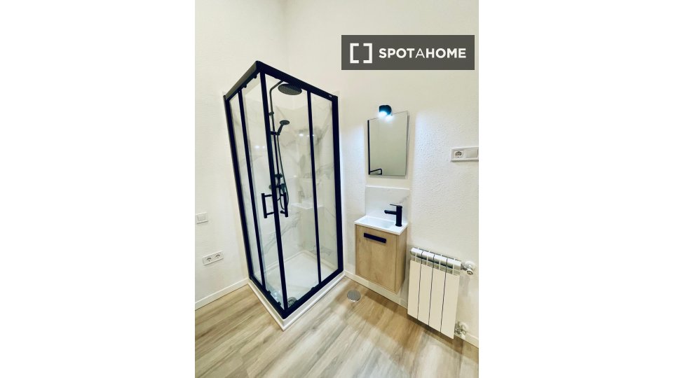 Double room Madrid, 12 beds, 185m² — photo 11