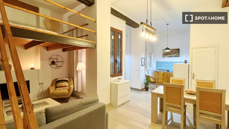 Apartment mono Malaga, 50m² — photo 15