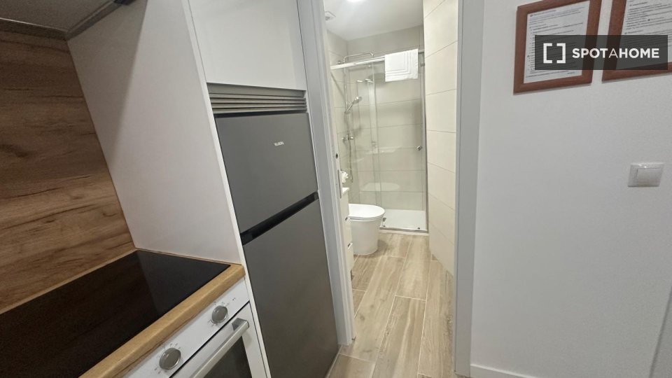 Apartment Madrid, 1 bed — photo 35