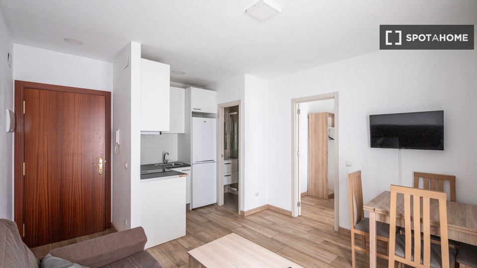 Apartment Madrid, 1 bed — photo 4